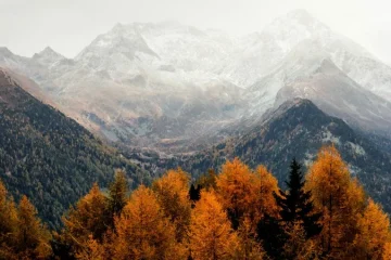 eberhard-grossgasteiger-5P91SF0zNsI-unsplash-825x510