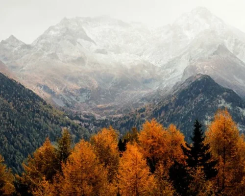 eberhard-grossgasteiger-5P91SF0zNsI-unsplash-825x510