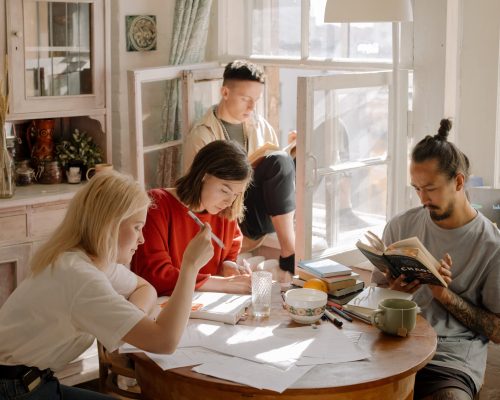 pexels-cottonbro-studio-4778621