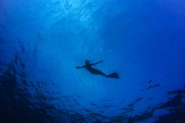 pexels-john-cahil-rom-3041865